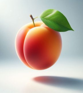 ripe apricot fruit flavor